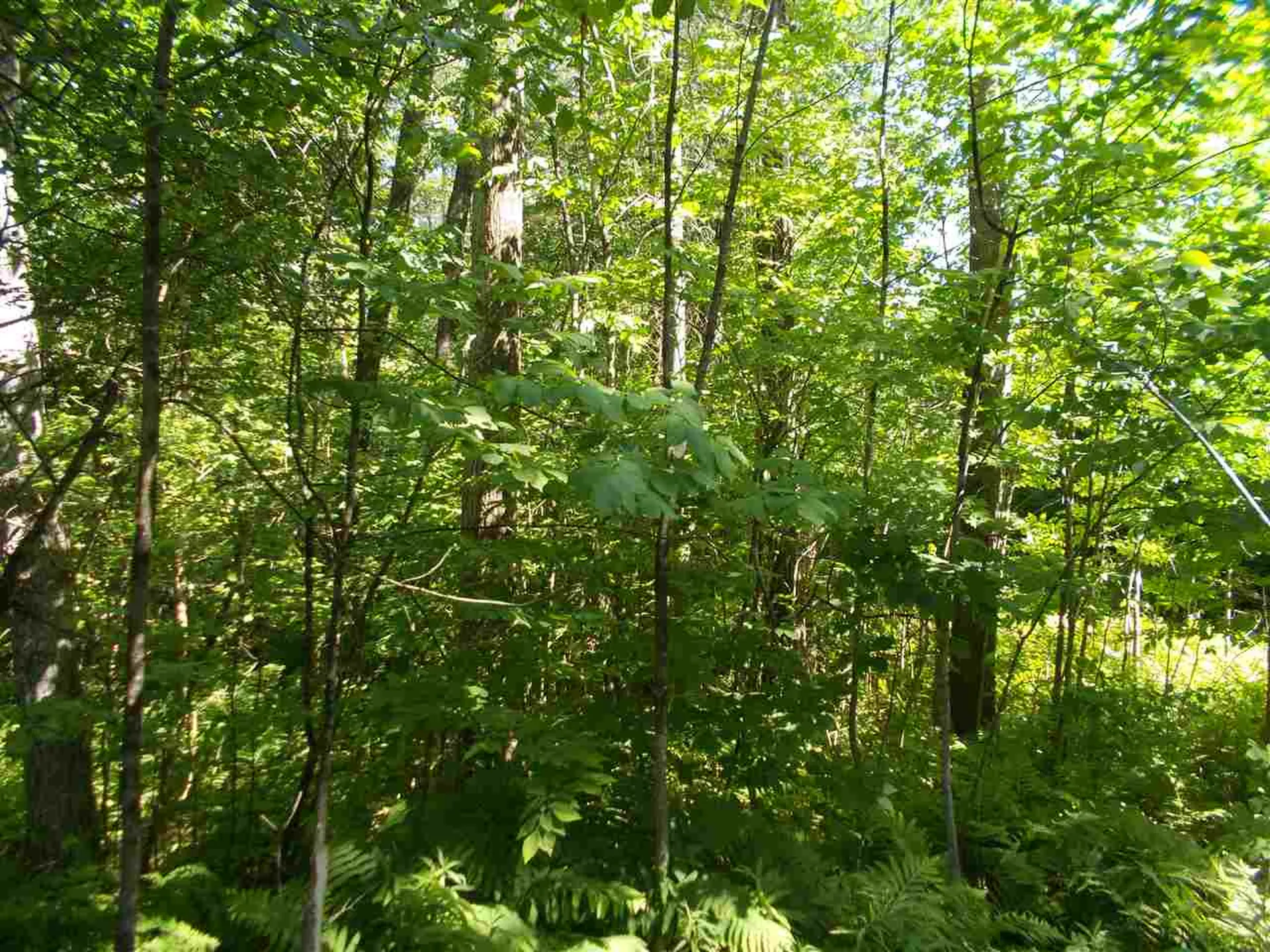 0 Hewitt Road Claremont NH 03743