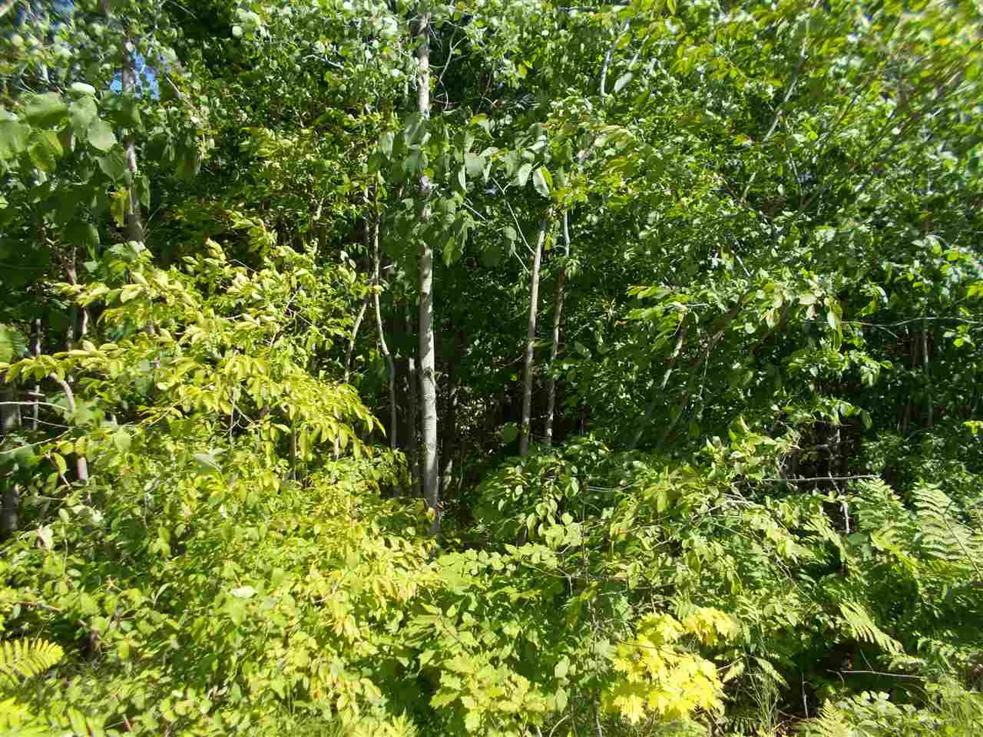 0 Hewitt Road Claremont NH 03743