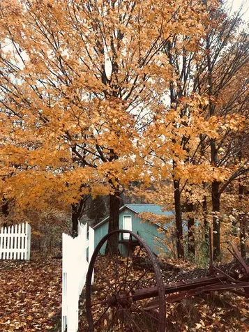 130 Maple Lane Barton VT 05822