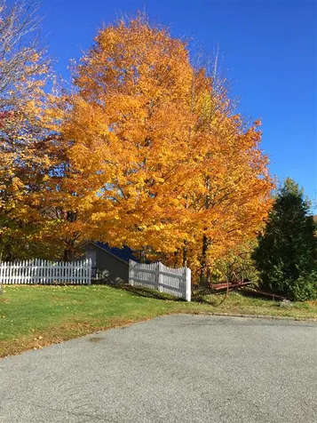 130 Maple Lane Barton VT 05822