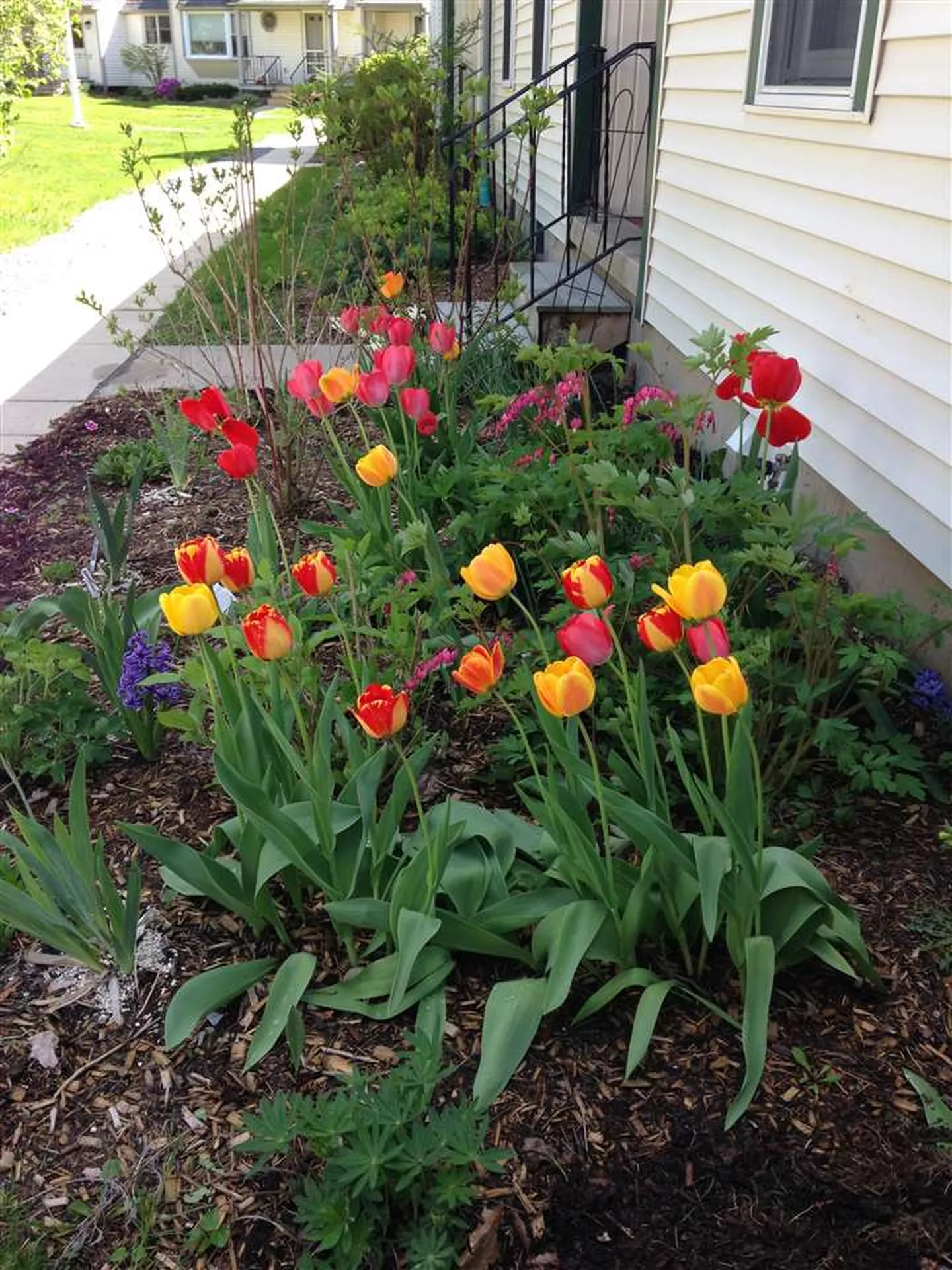 22 Evergreen Lane Middlebury VT 05753