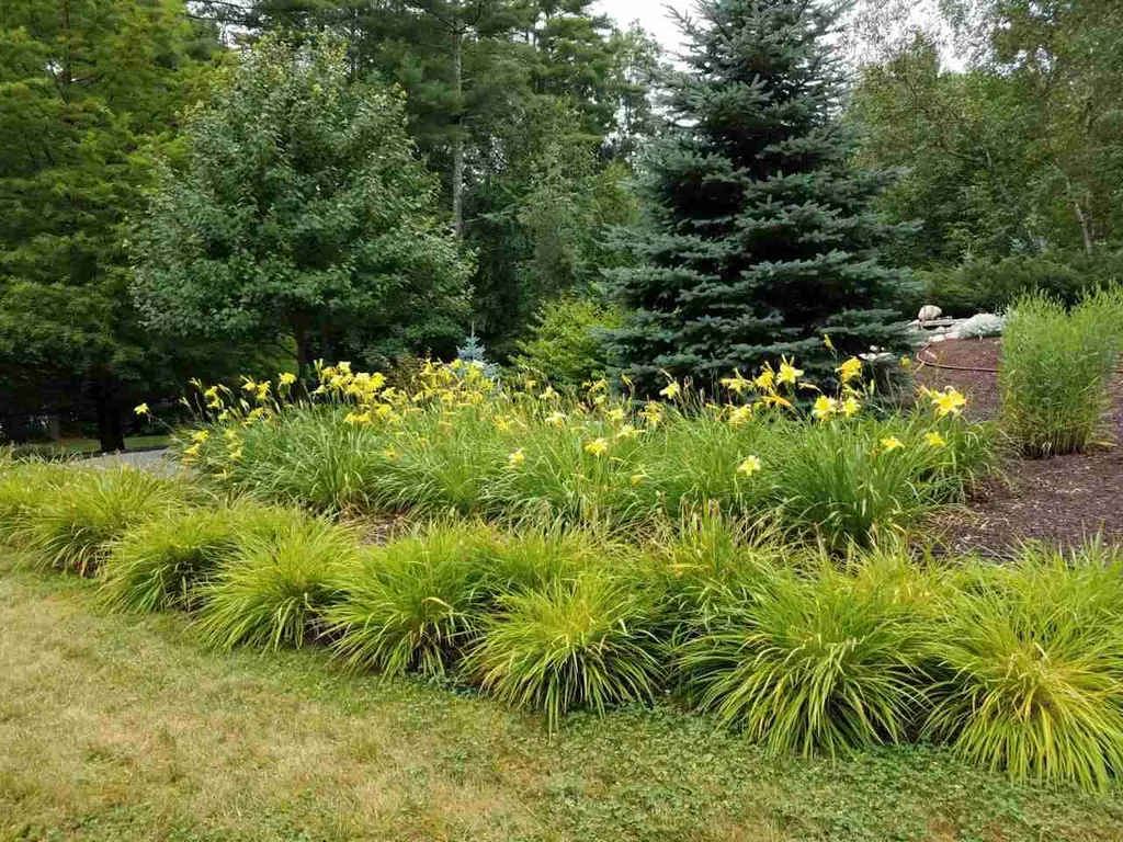191 Beals Road Bedford NH 03110