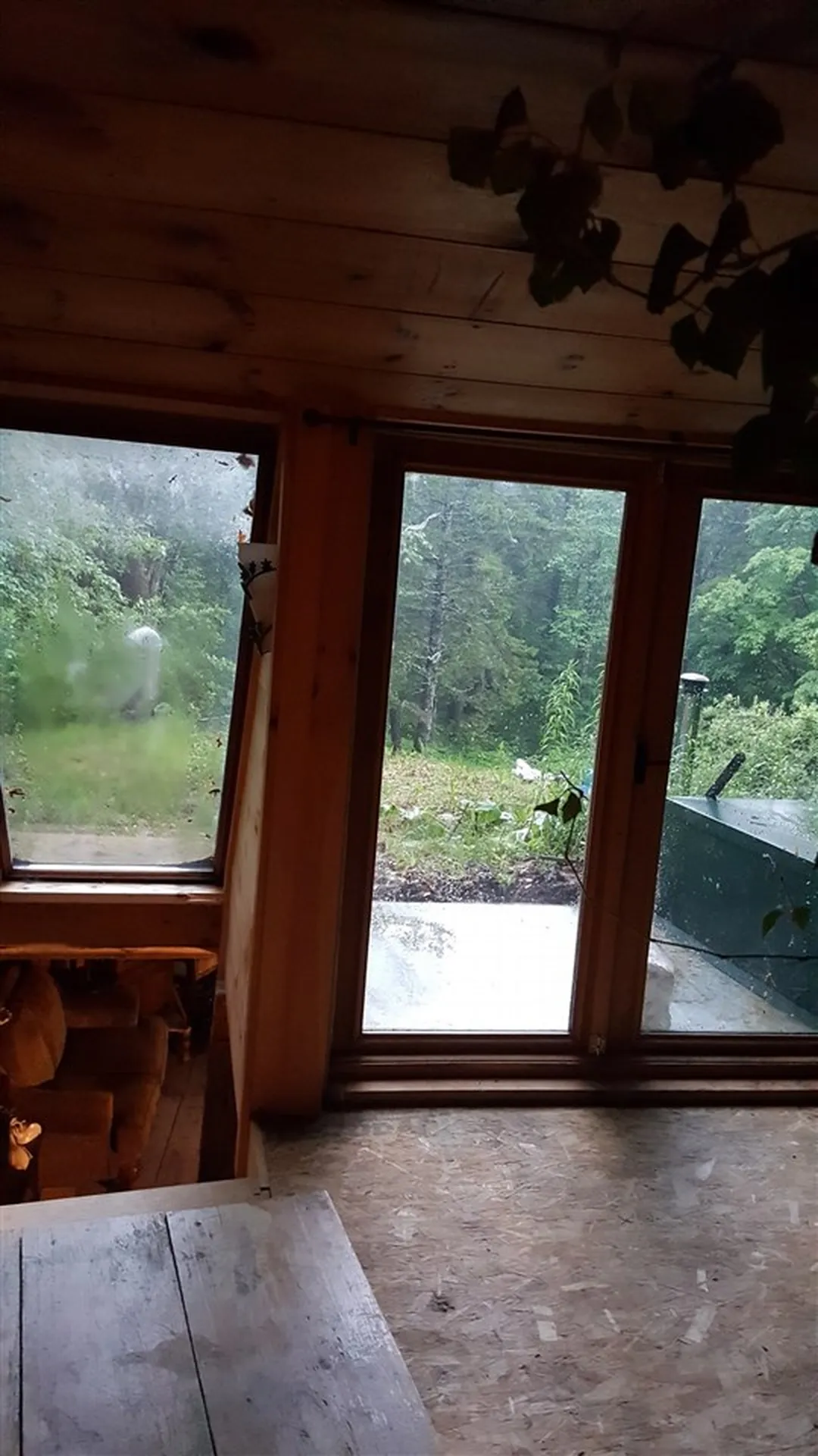 103 White Rocks Road Goshen VT 05733