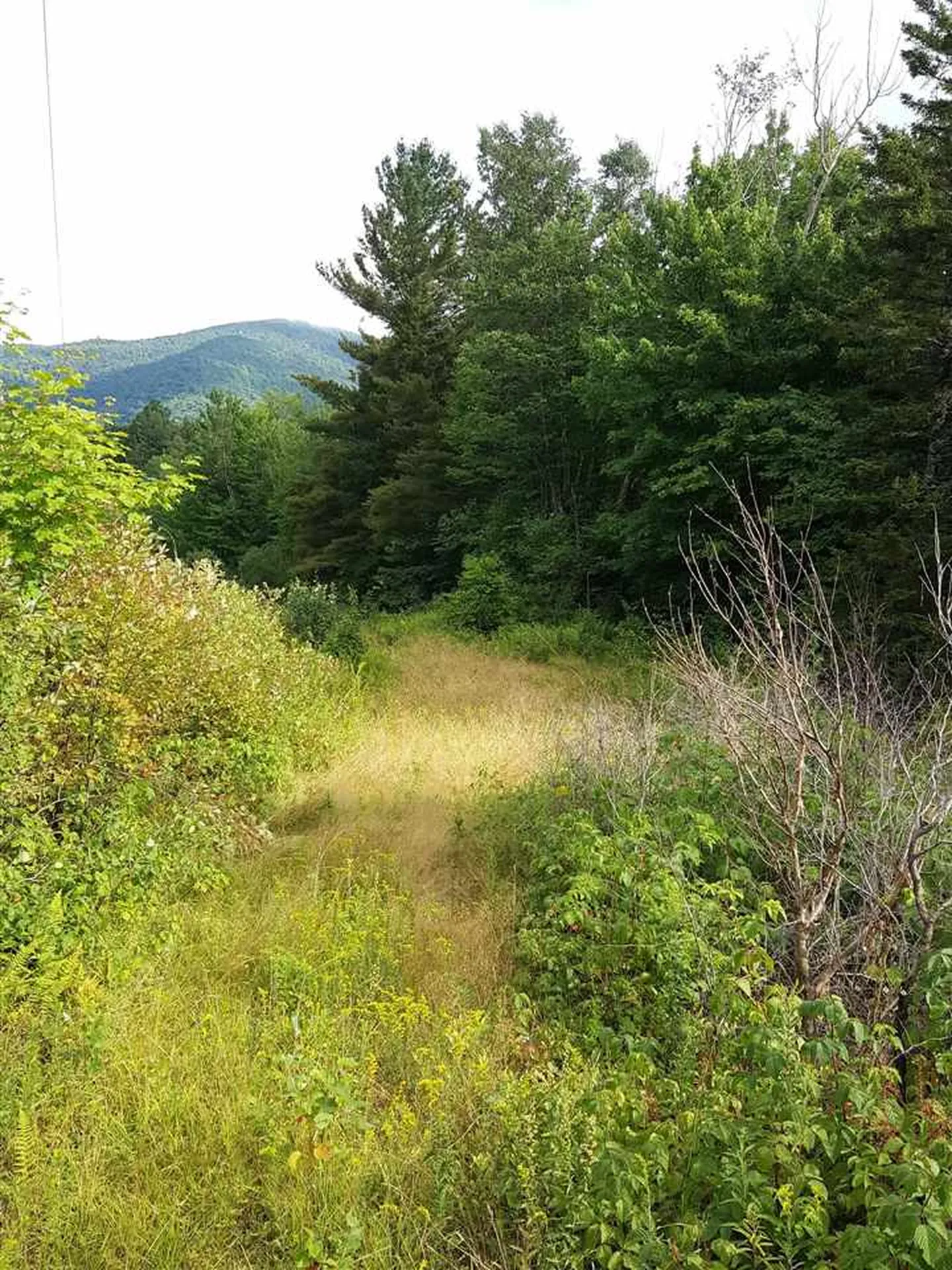 103 White Rocks Road Goshen VT 05733