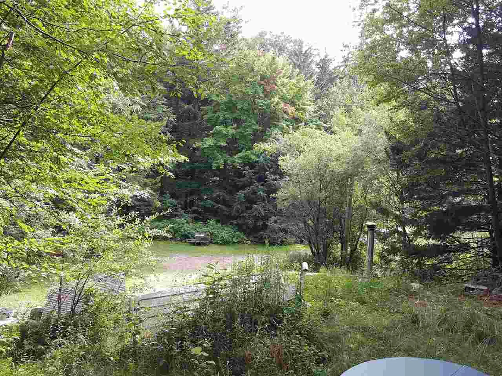 103 White Rocks Road Goshen VT 05733
