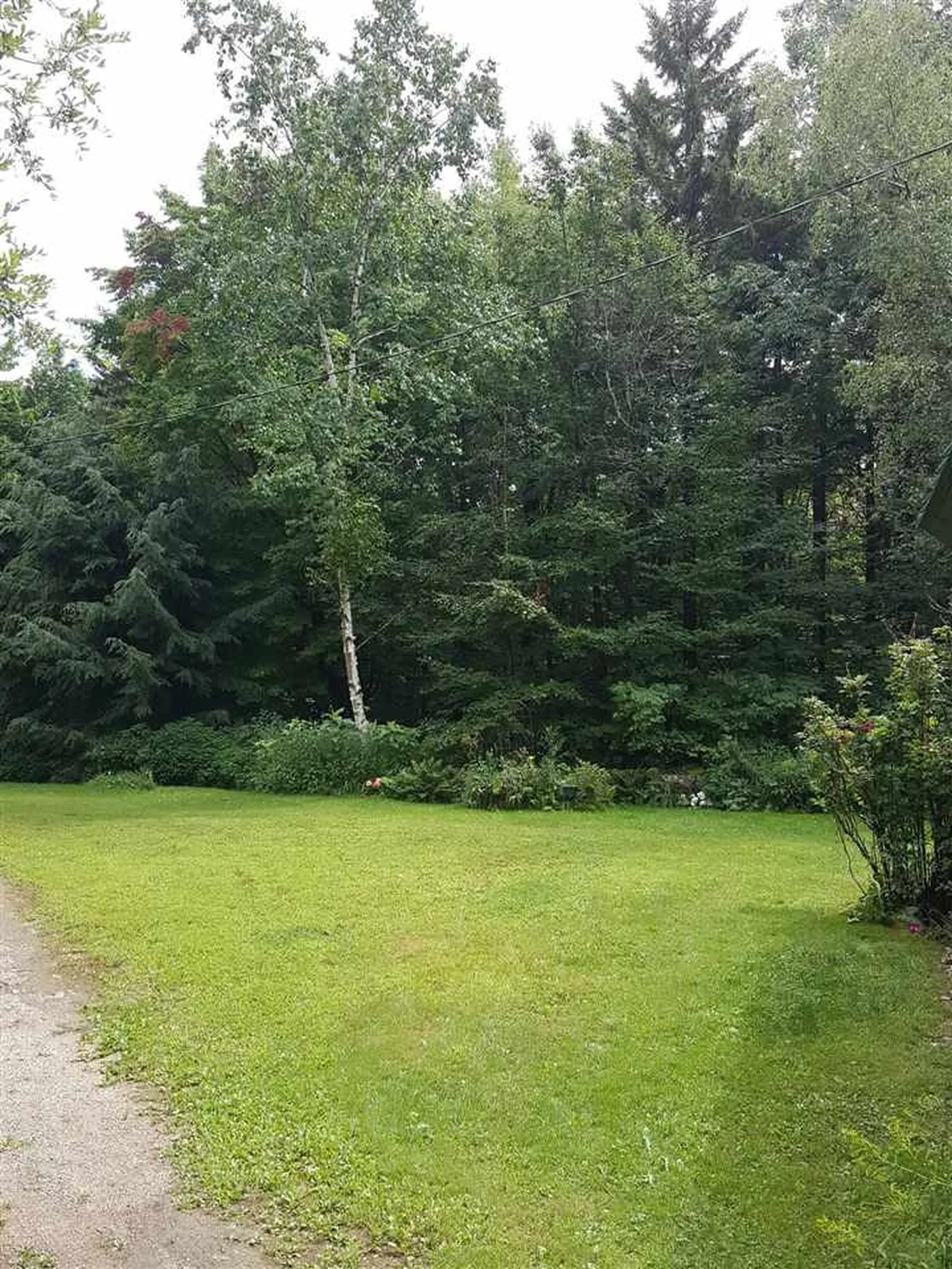 103 White Rocks Road Goshen VT 05733