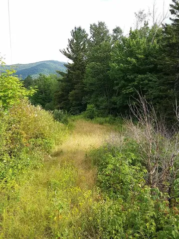 103 White Rocks Road Goshen VT 05733