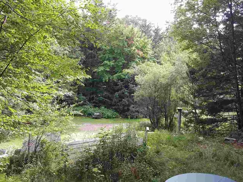 103 White Rocks Road Goshen VT 05733