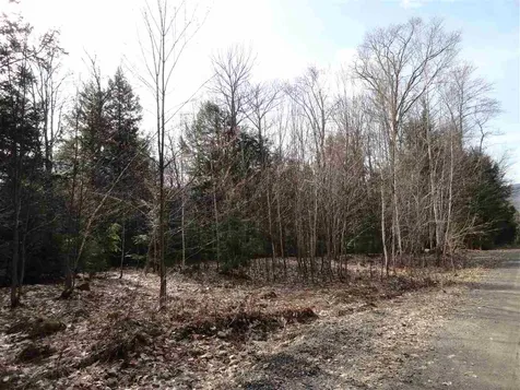Lot 2 Mathews Road Alexandria NH 03222