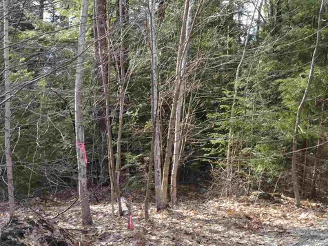 Lot 2 Mathews Road Alexandria NH 03222