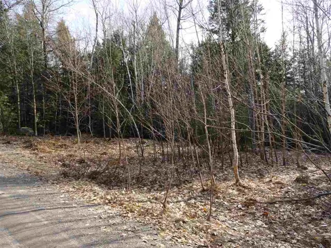 Lot 2 Mathews Road Alexandria NH 03222