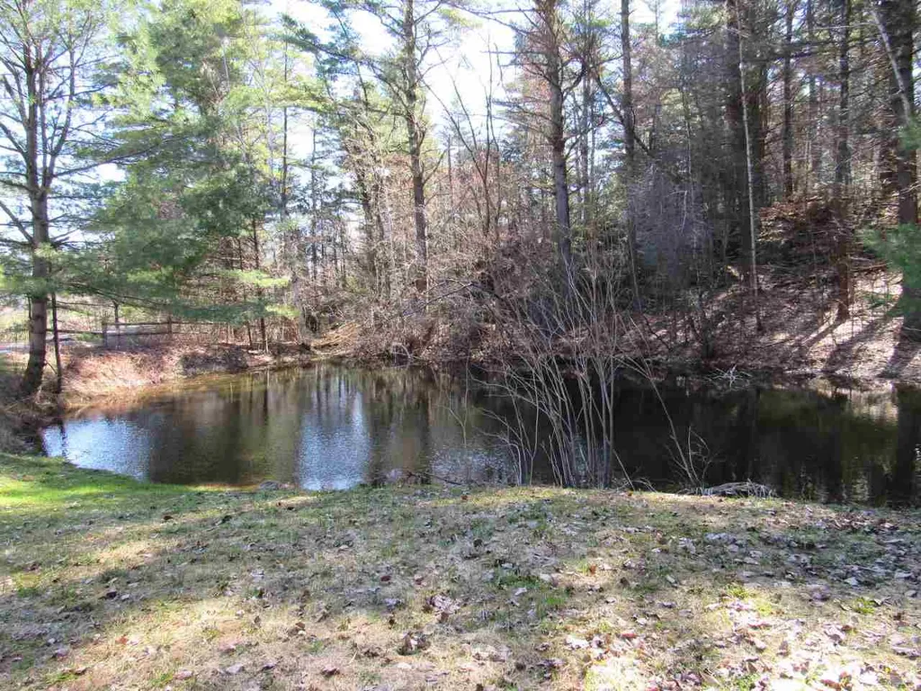 141 Tree Hill Road Williston VT 05495