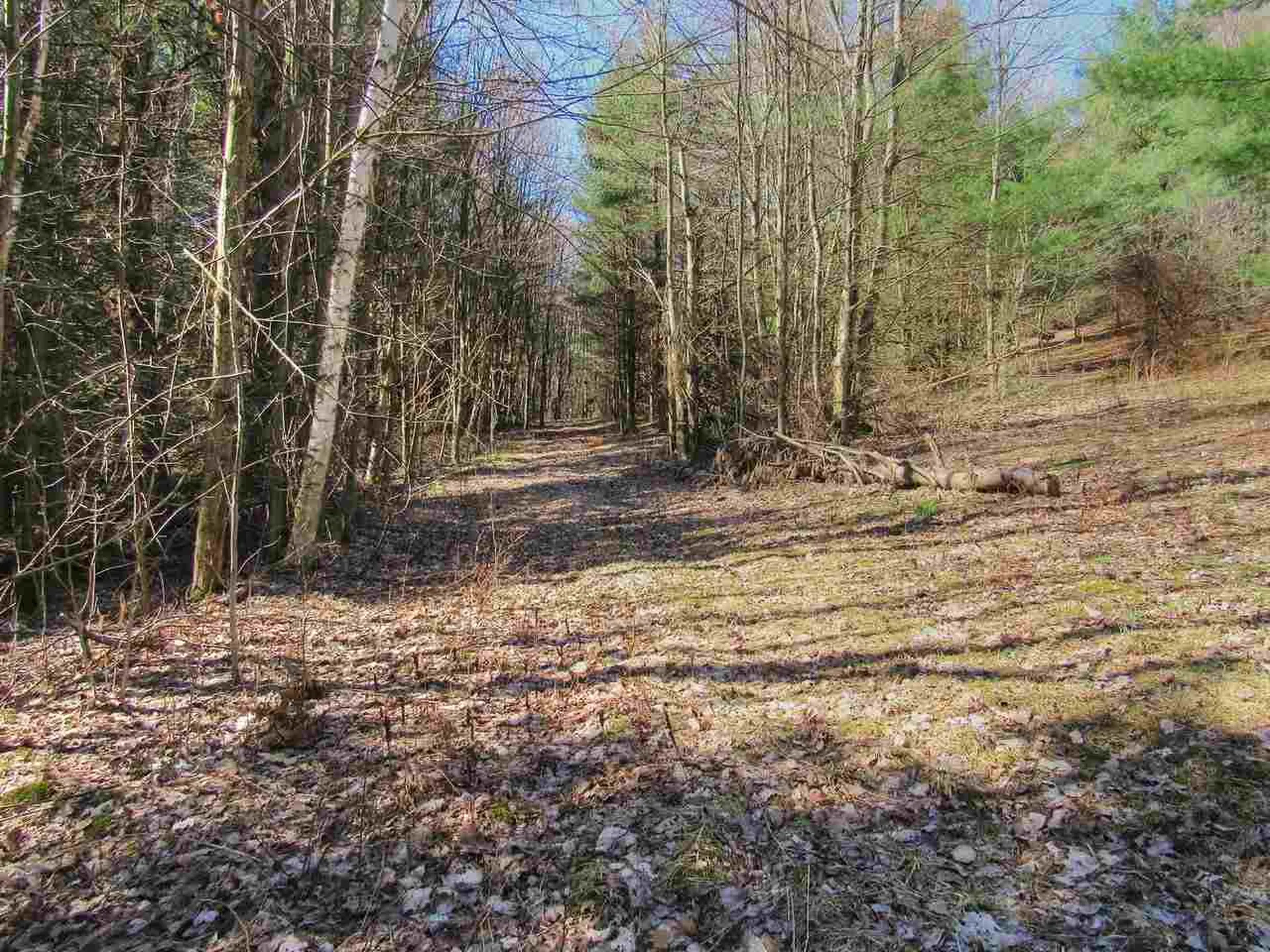 141 Tree Hill Road Williston VT 05495