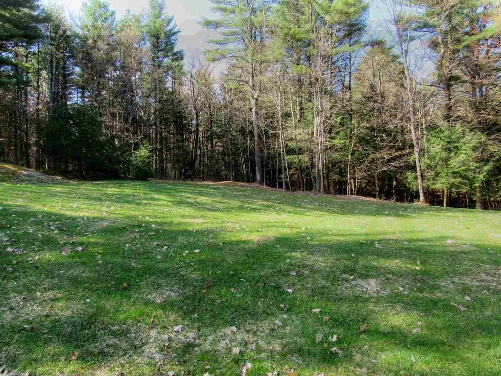 141 Tree Hill Road Williston VT 05495