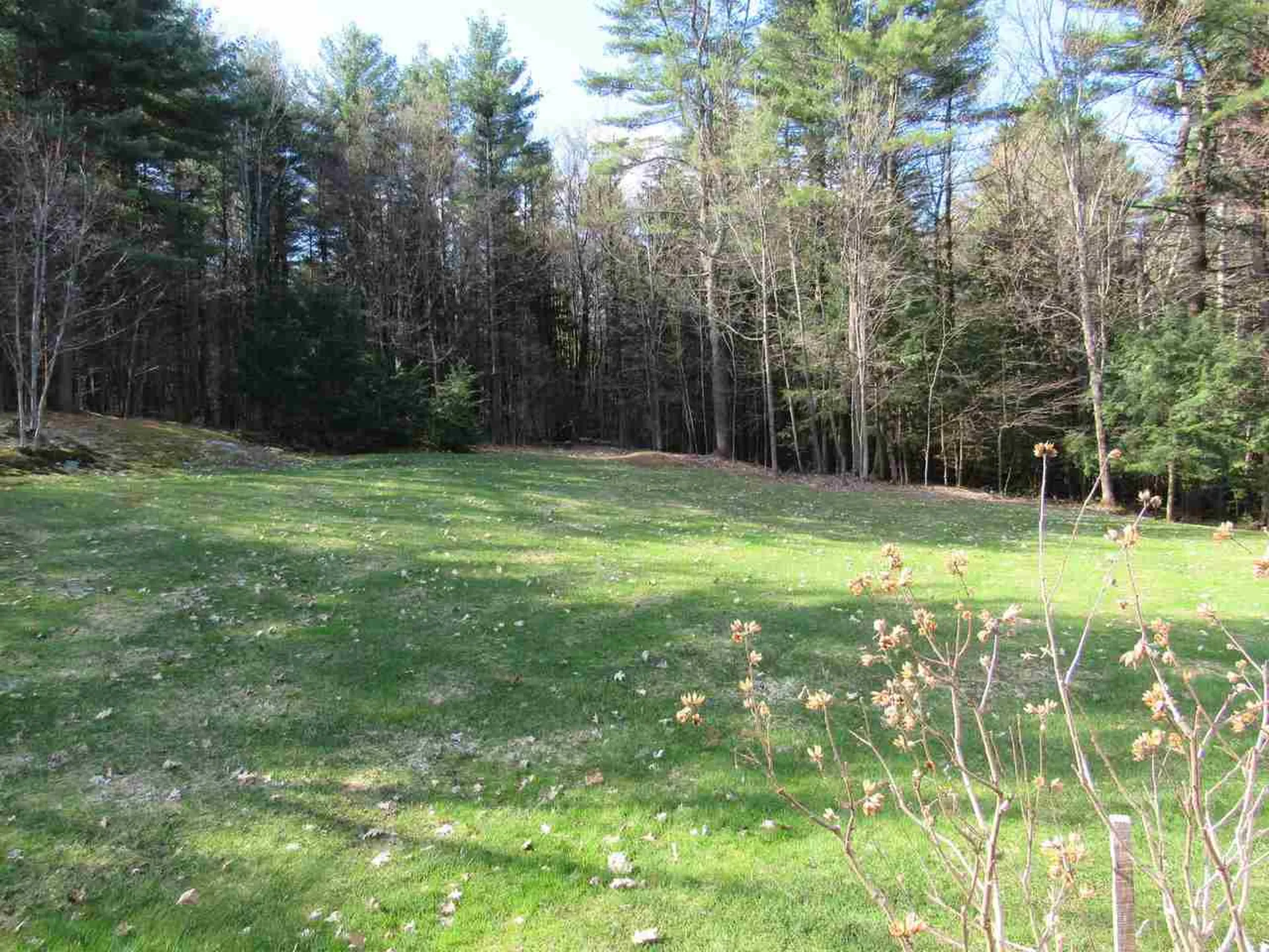 141 Tree Hill Road Williston VT 05495
