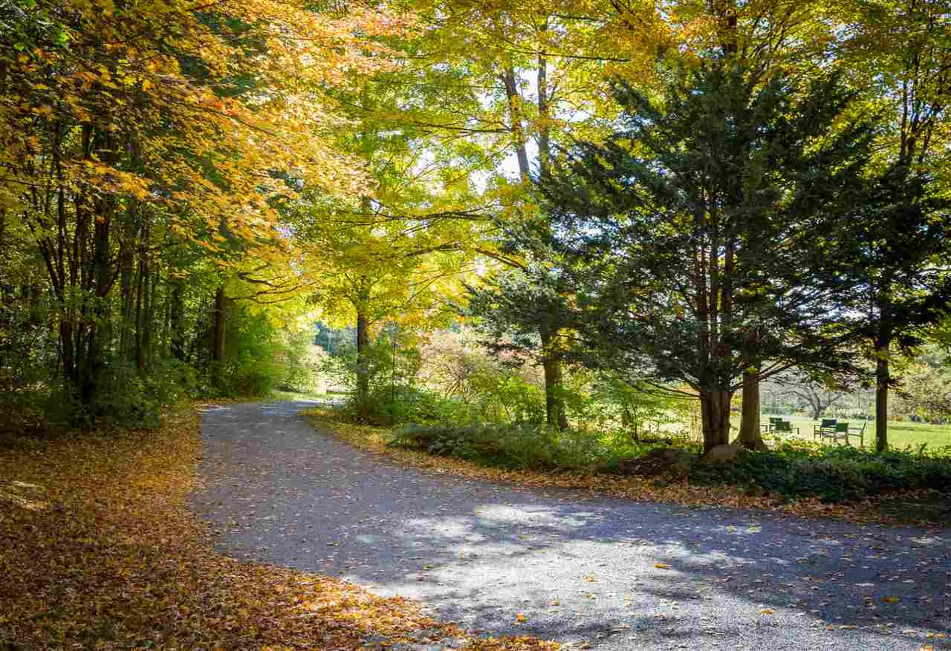 236 Lucy's Lane Charlotte VT 05445