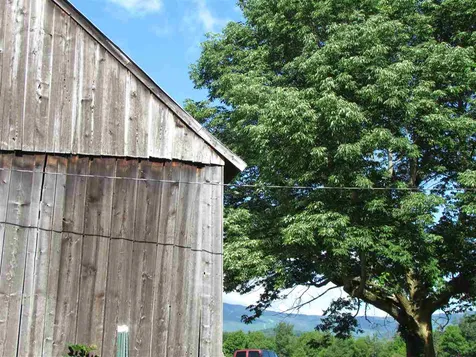 2692 East Warren Road Waitsfield VT 05673-2692