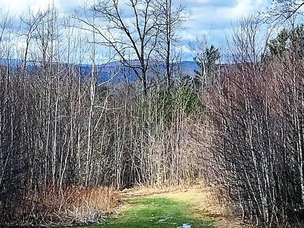 35 Twist Hill Road Wilmot NH 03287
