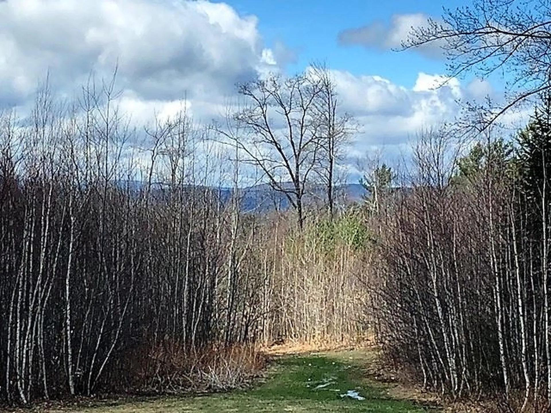 35 Twist Hill Road Wilmot NH 03287