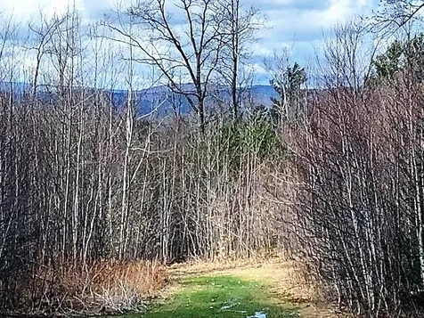 35 Twist Hill Road Wilmot NH 03287