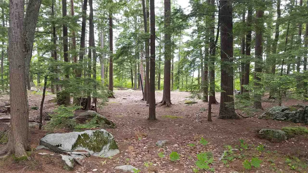 1 Littlest Mud Island Wolfeboro NH 03894