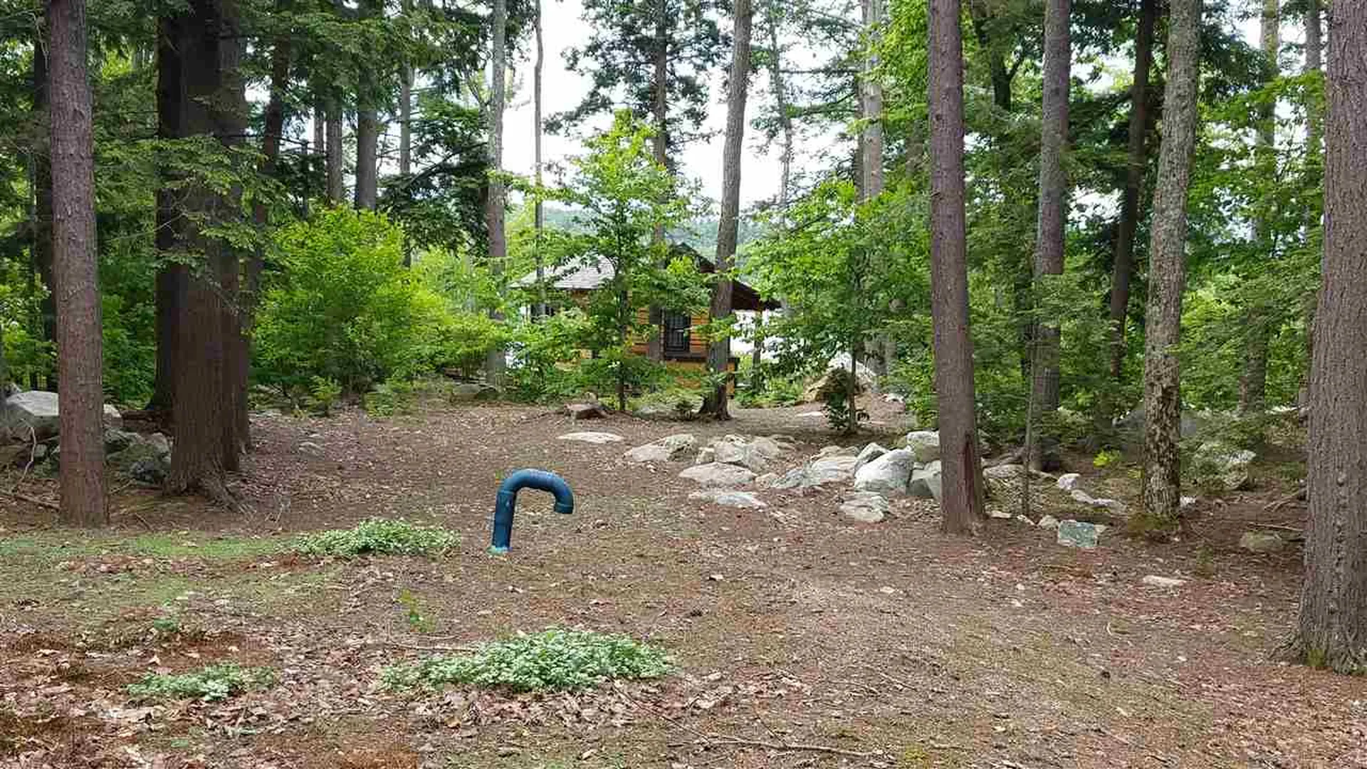 1 Littlest Mud Island Wolfeboro NH 03894