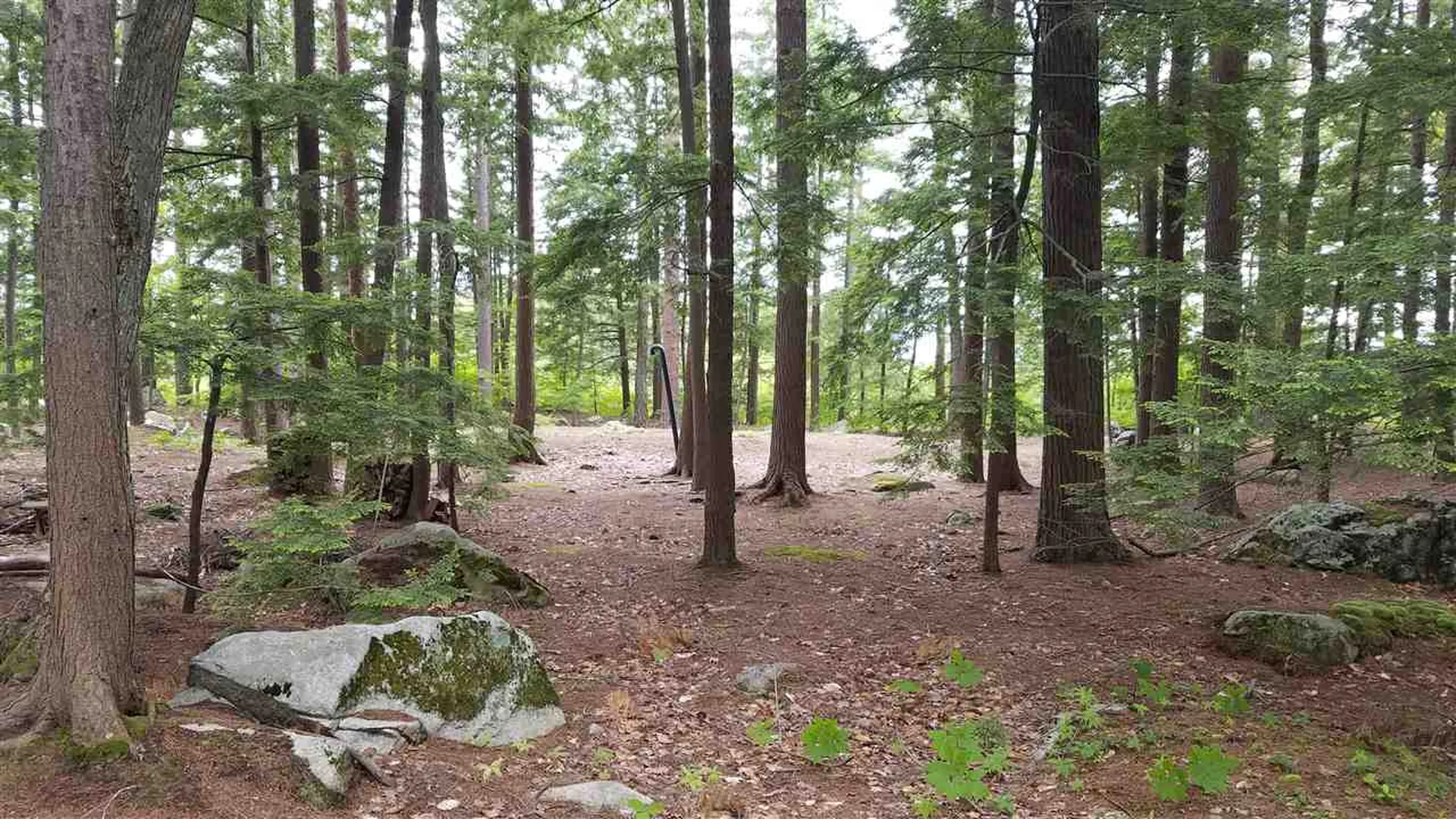 1 Littlest Mud Island Wolfeboro NH 03894