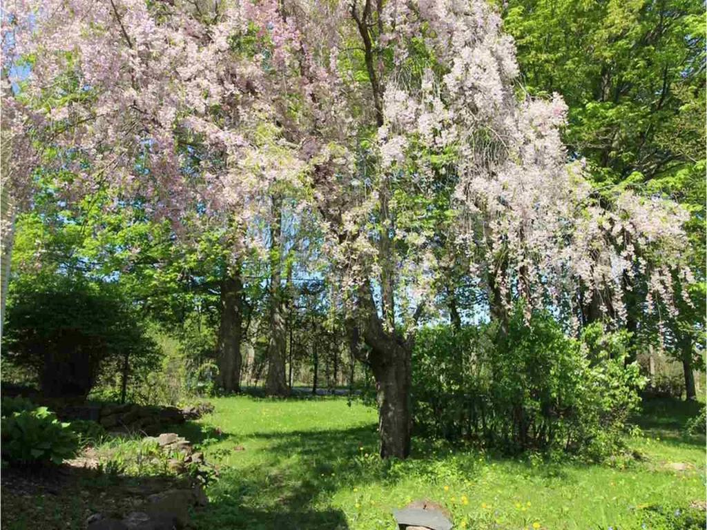255 Mount Philo Road Charlotte VT 05445