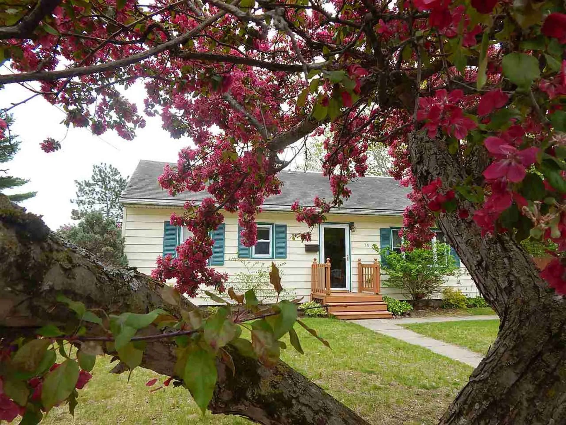 39 Westward Drive Burlington VT 05408