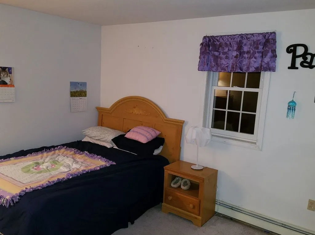 53 Suissevale Avenue Moultonborough NH 03254