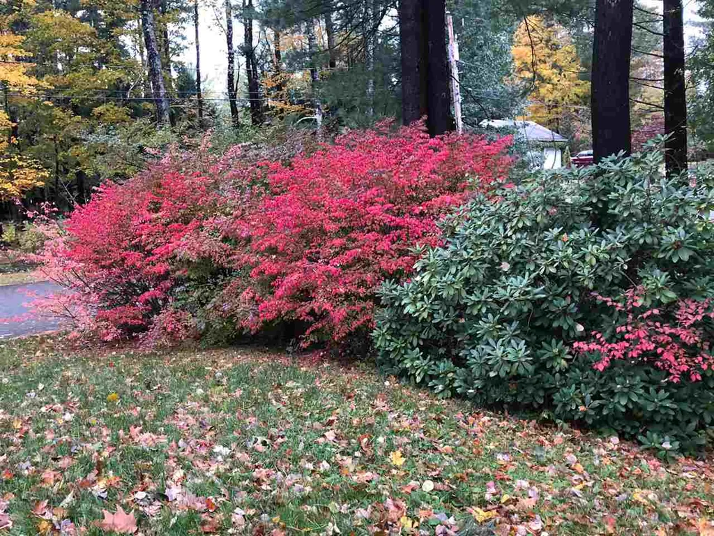 5 Beards Landing Durham NH 03824