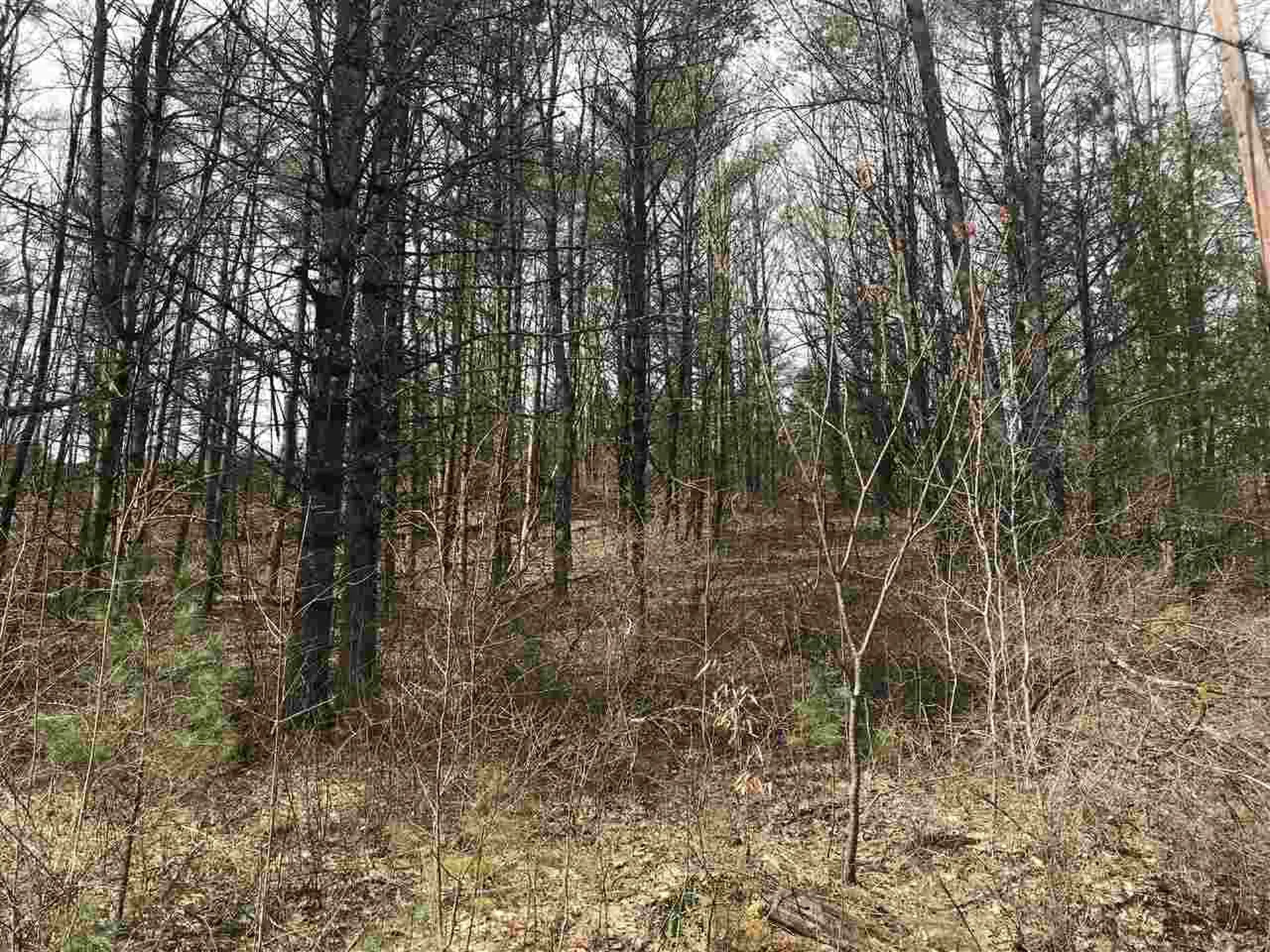 0 Hidden Valley Road Shaftsbury VT 05262