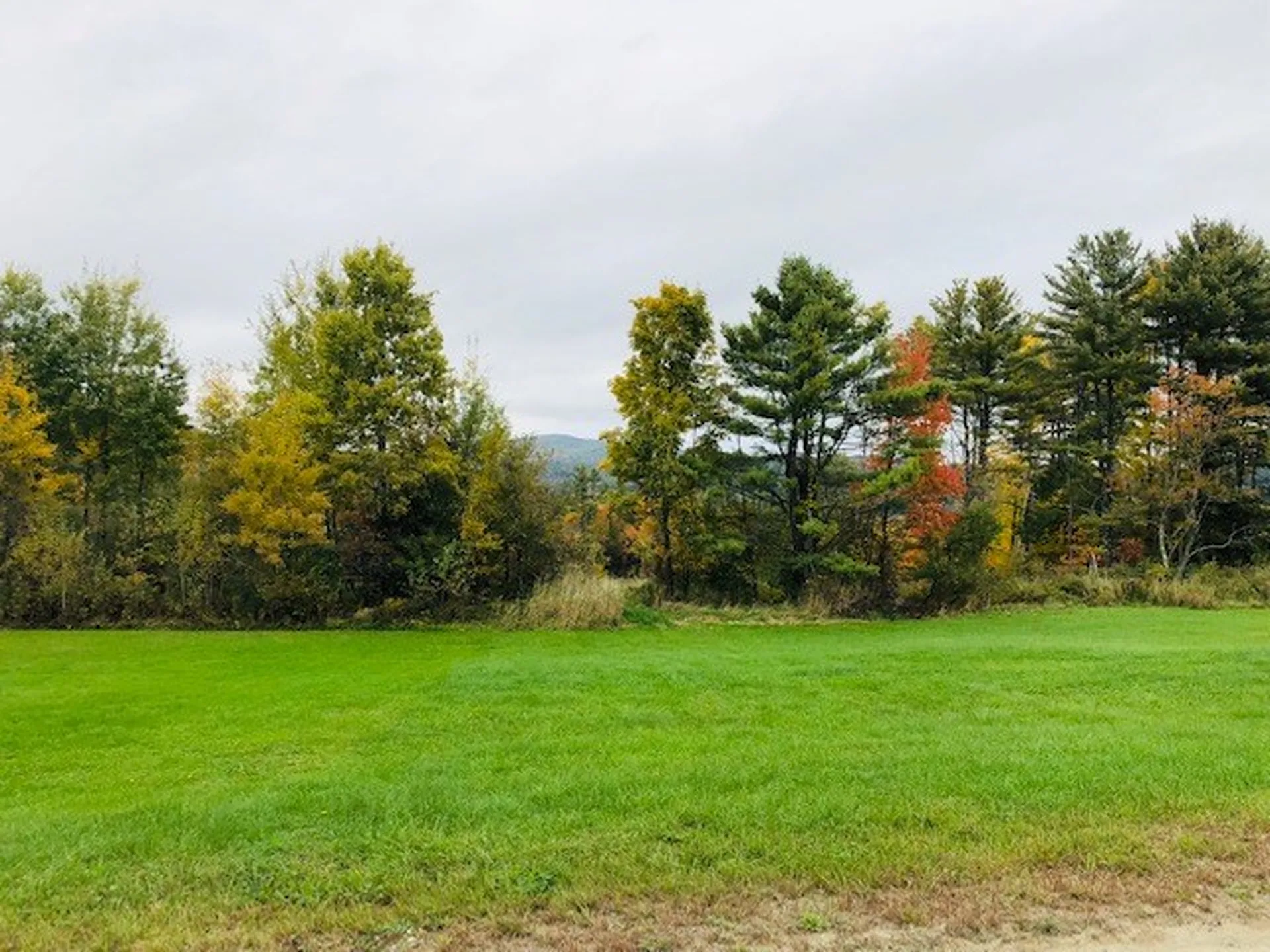 Lot 3 Ammonoosuc Avenue Bath NH 03740