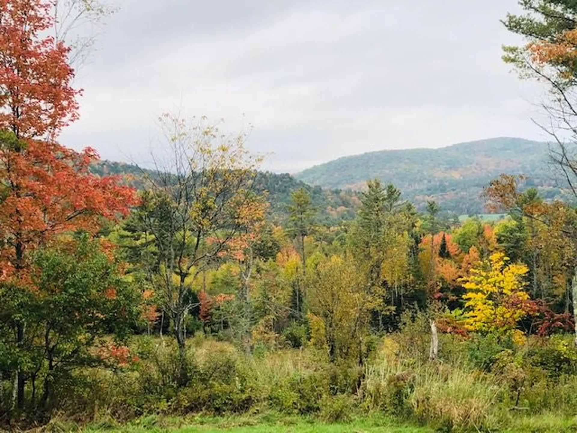 Lot 3 Ammonoosuc Avenue Bath NH 03740
