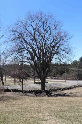 252 Hare Road Milton NH 03851