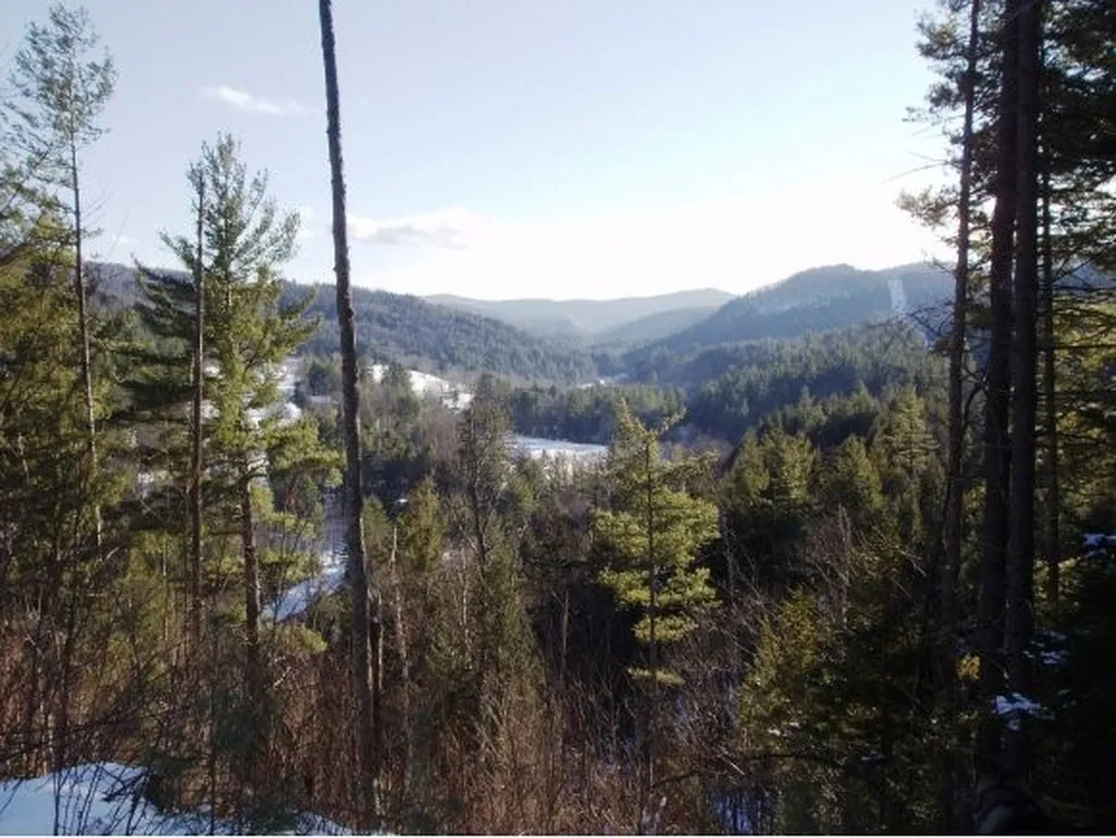 338 Ranney Road Stockbridge VT 05772