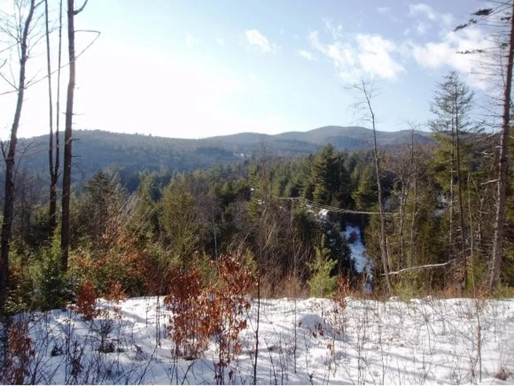 338 Ranney Road Stockbridge VT 05772