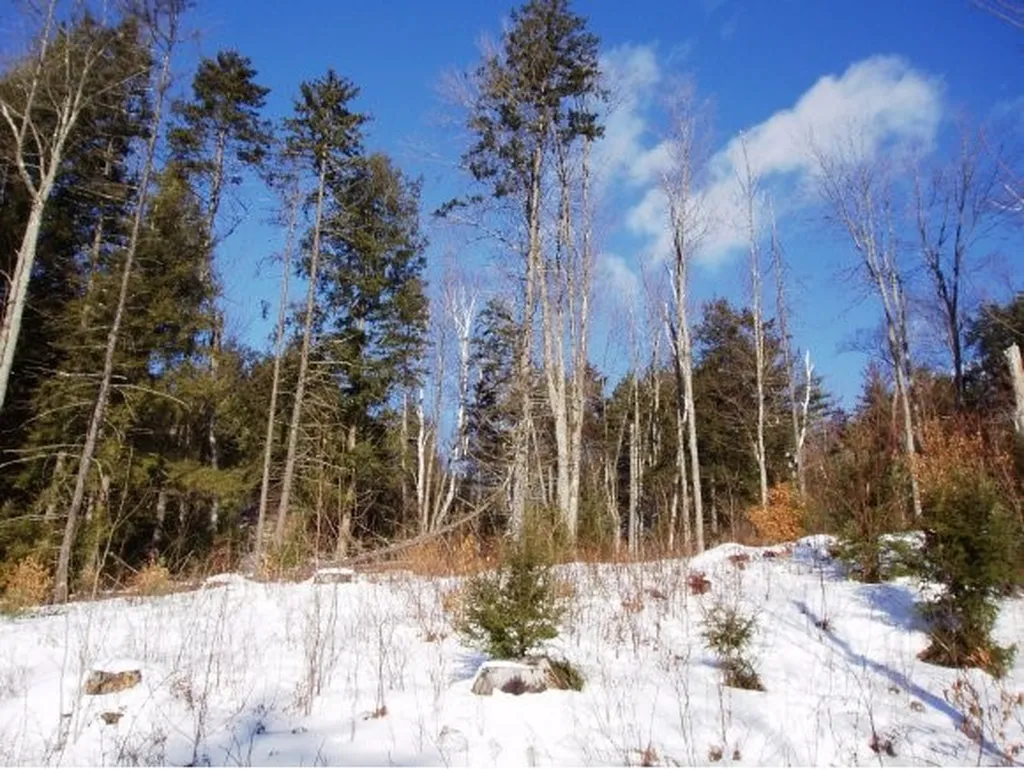 338 Ranney Road Stockbridge VT 05772