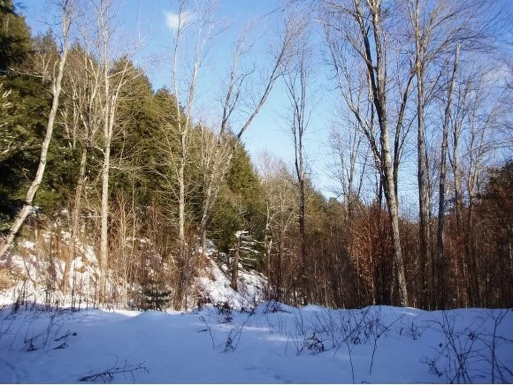 338 Ranney Road Stockbridge VT 05772