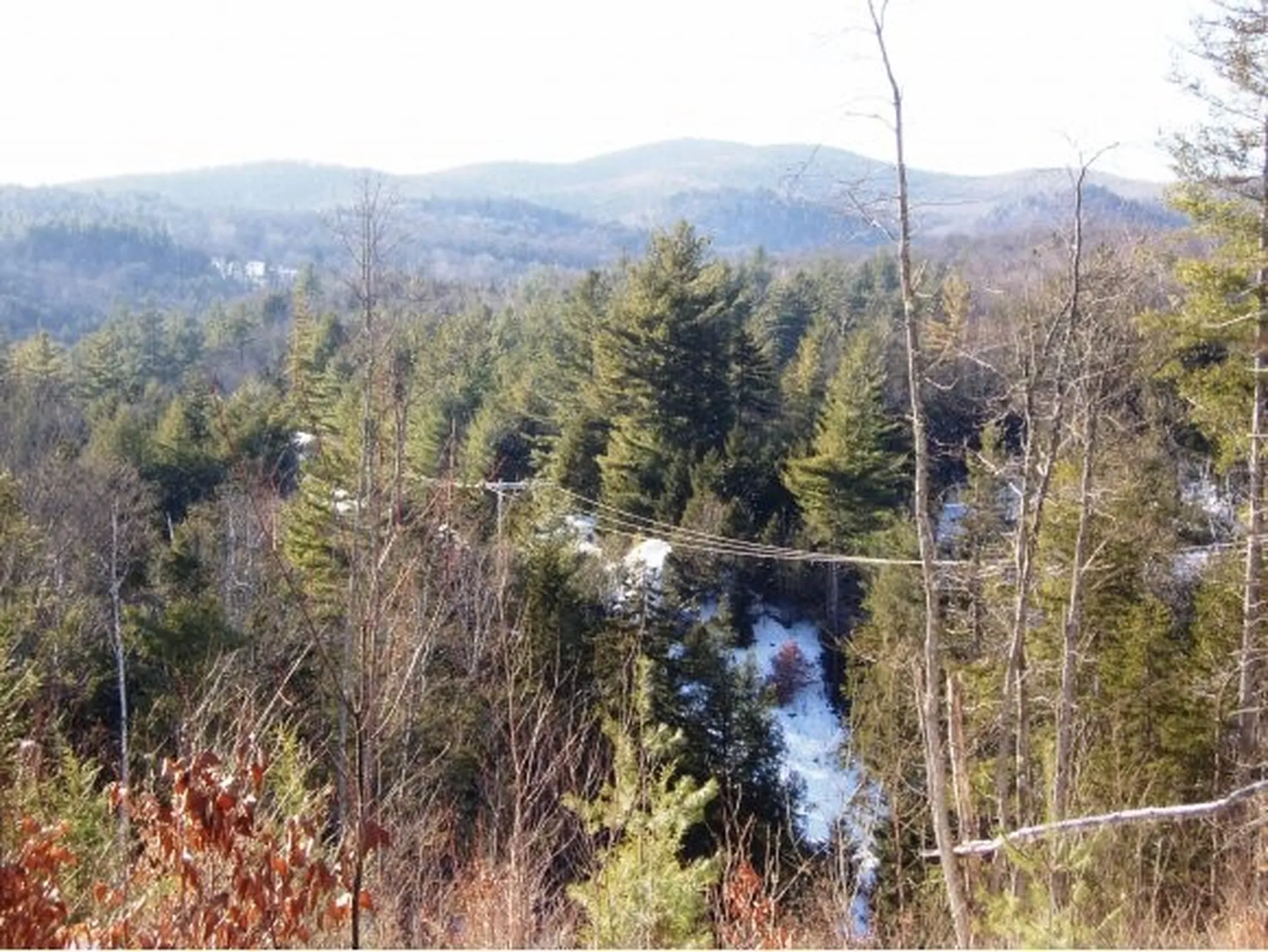 338 Ranney Road Stockbridge VT 05772