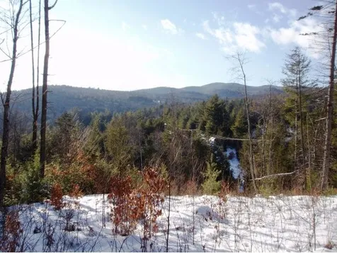 338 Ranney Road Stockbridge VT 05772