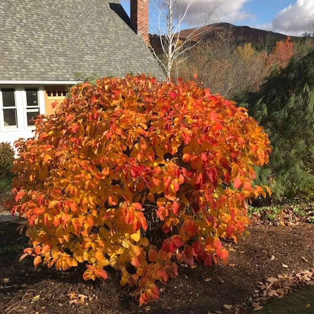 142 Taft Road Huntington VT 05462