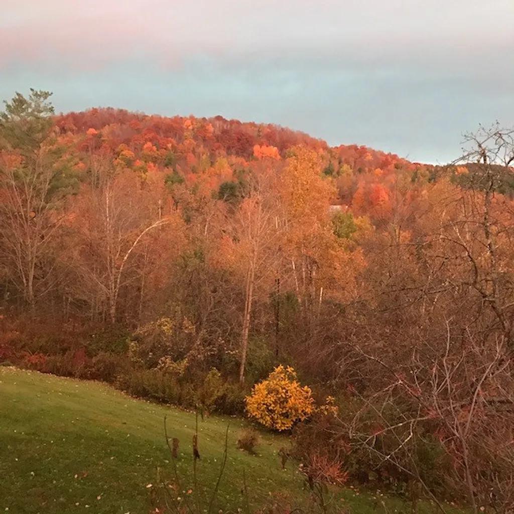 142 Taft Road Huntington VT 05462