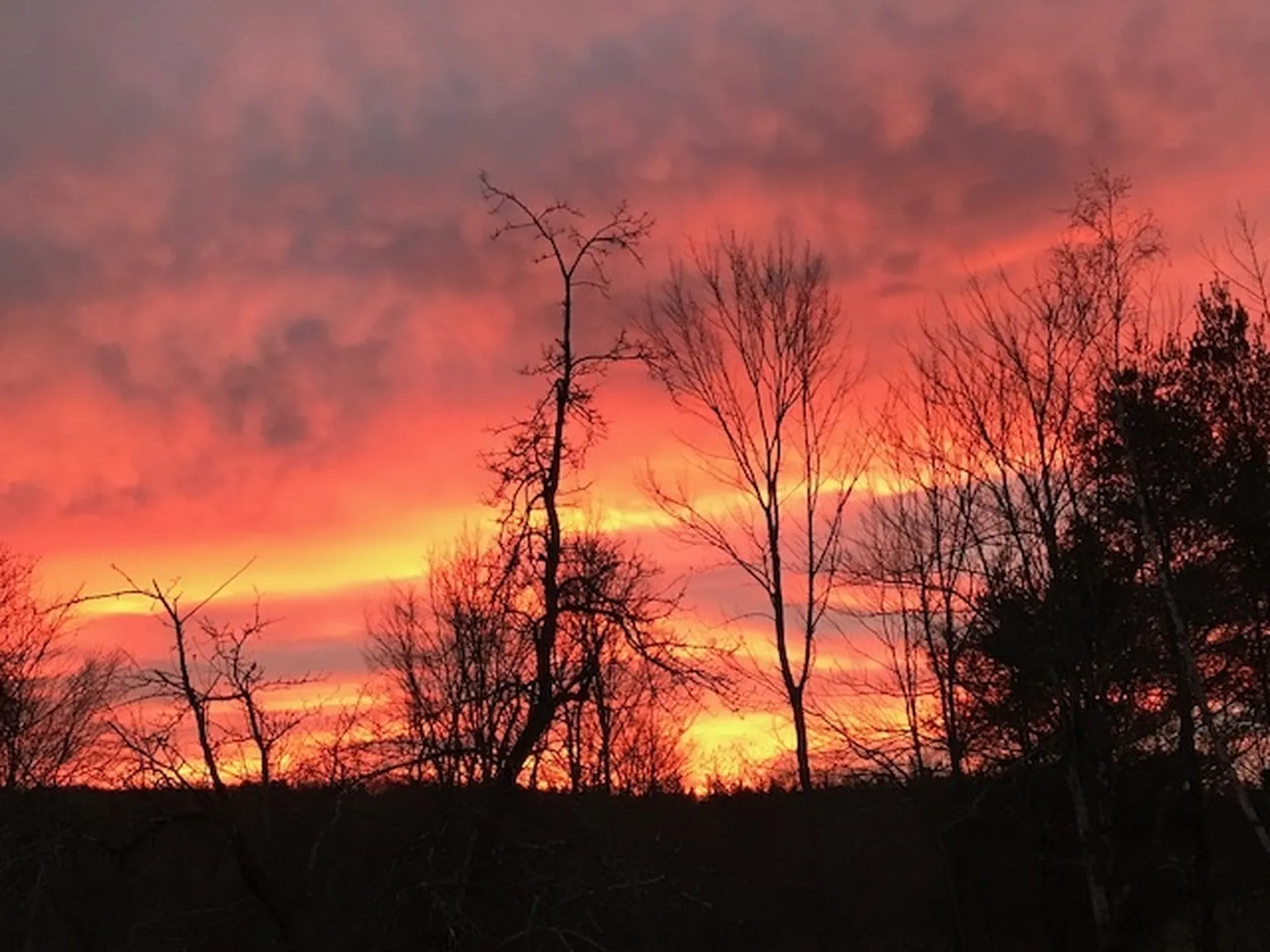 142 Taft Road Huntington VT 05462