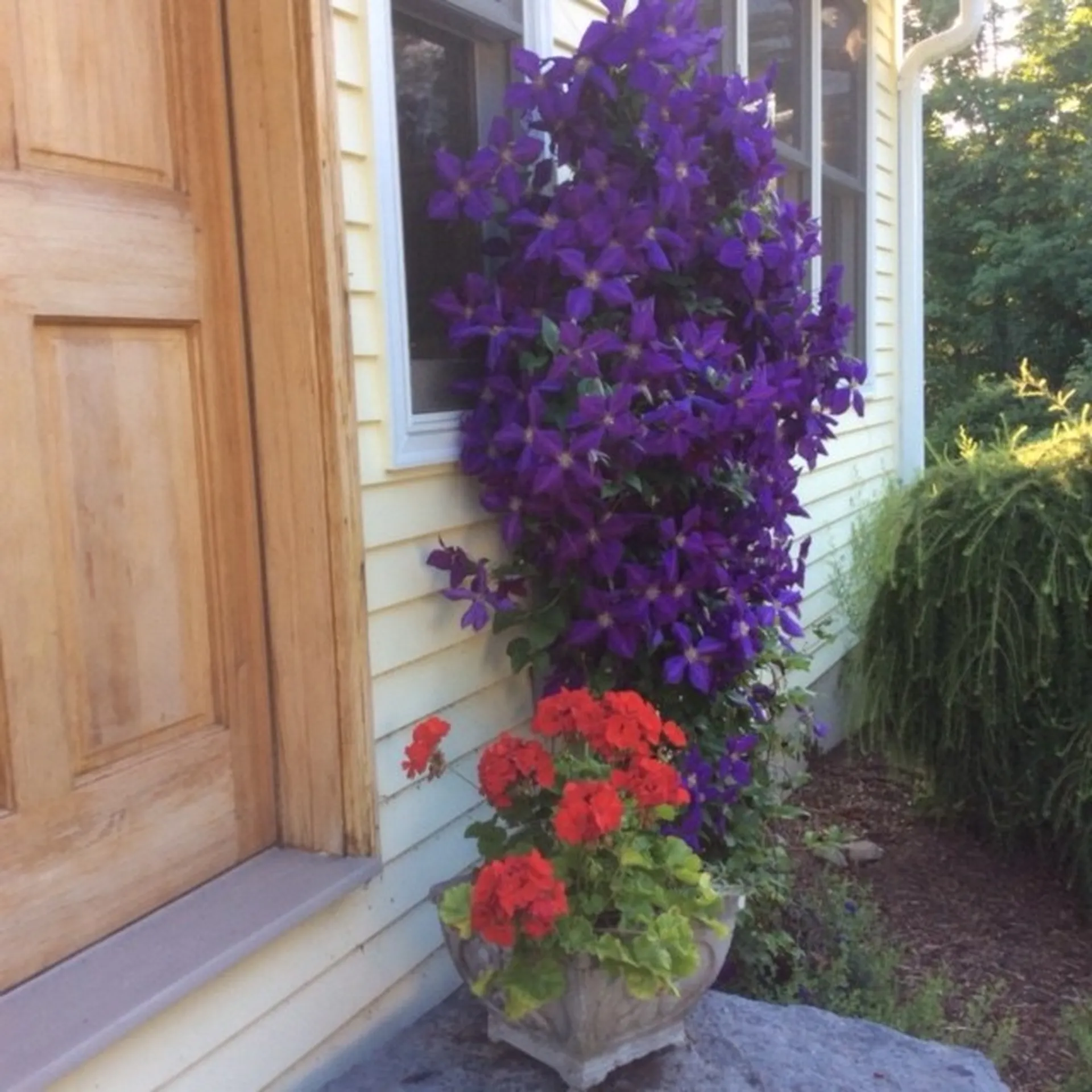 142 Taft Road Huntington VT 05462