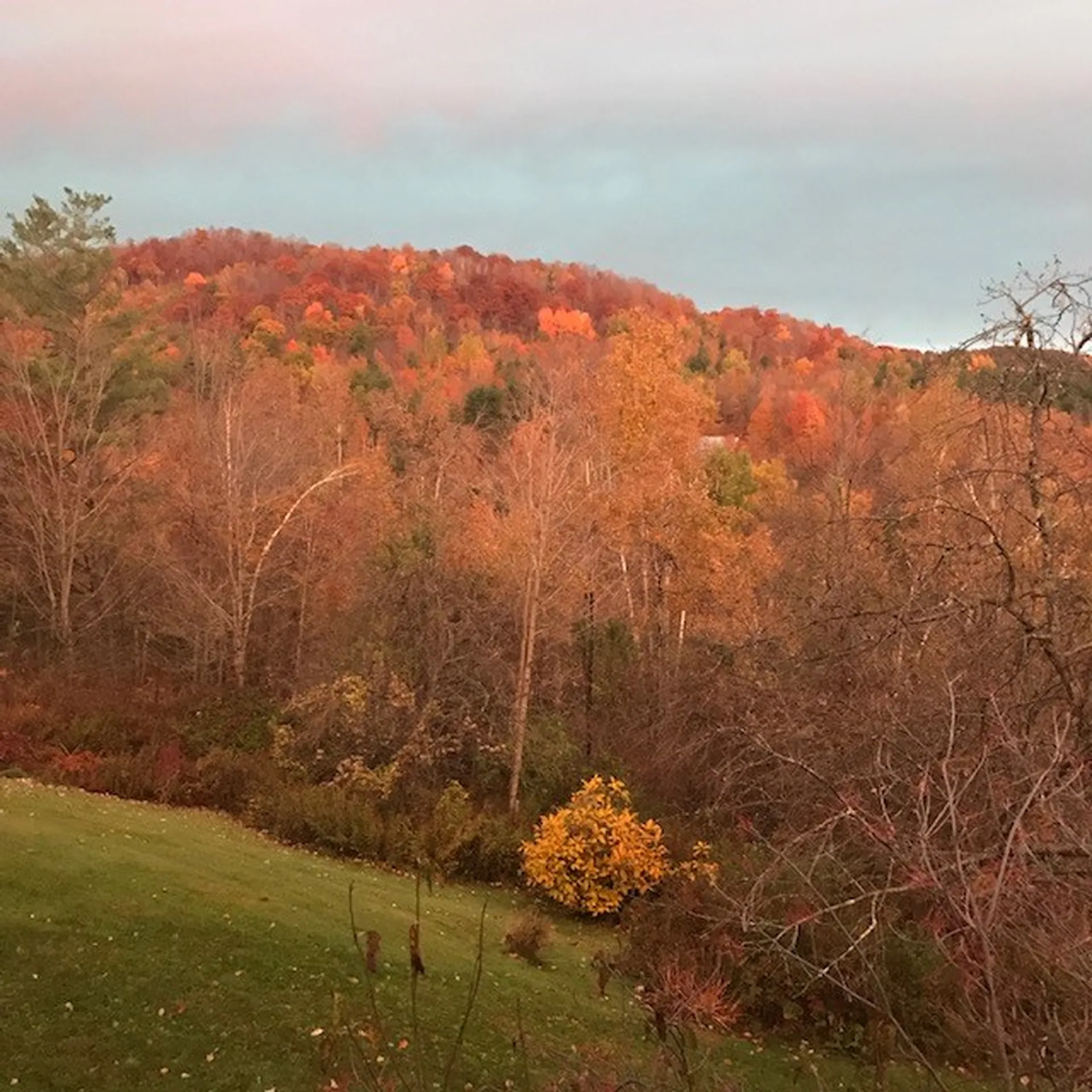 142 Taft Road Huntington VT 05462