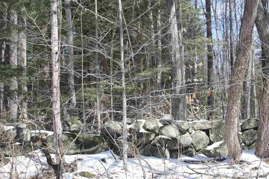 00 West Shore Road Bristol NH 03222
