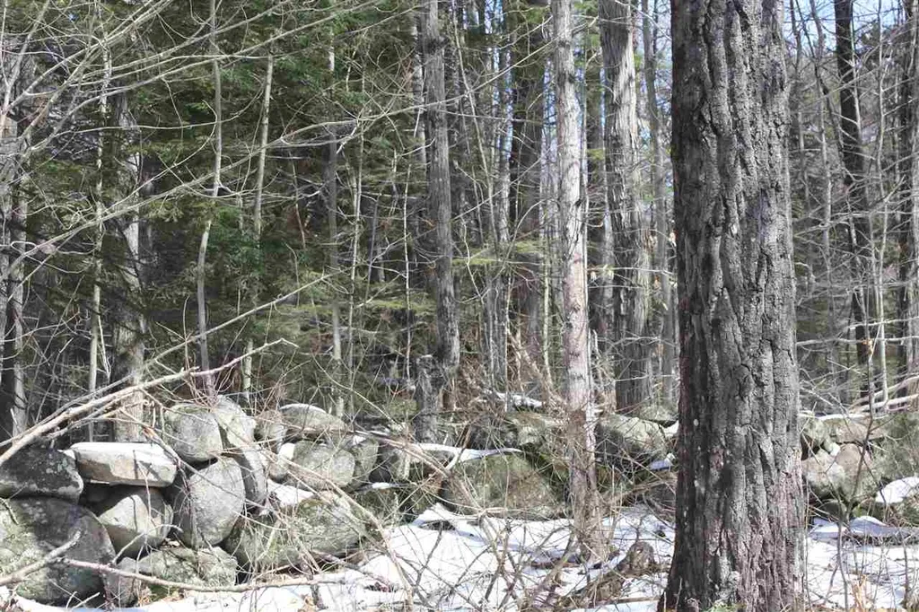 00 West Shore Road Bristol NH 03222