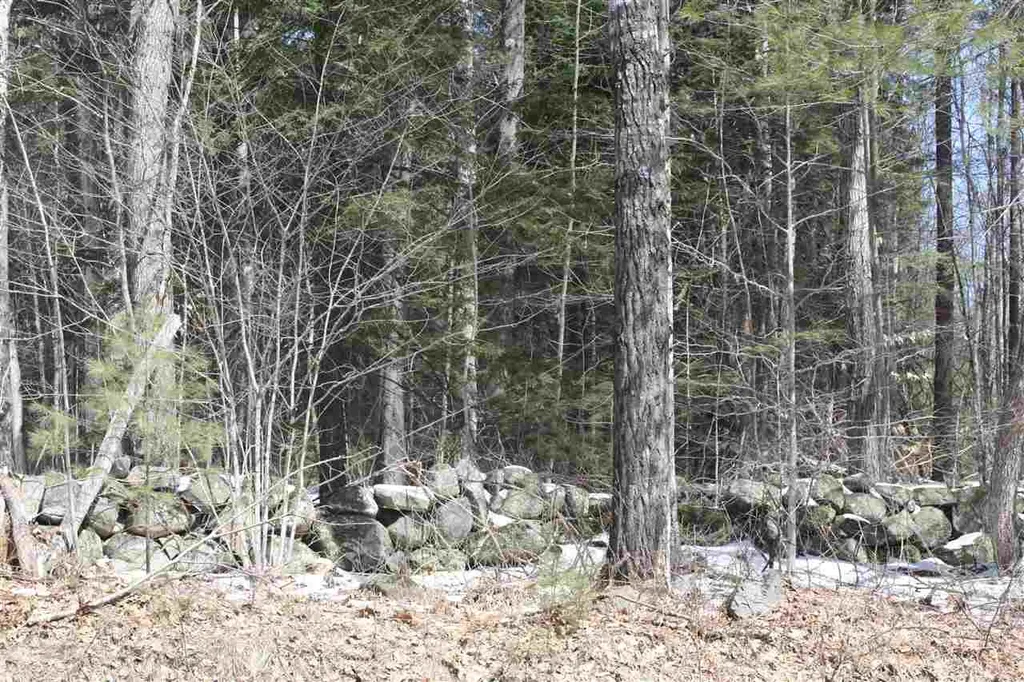 00 West Shore Road Bristol NH 03222