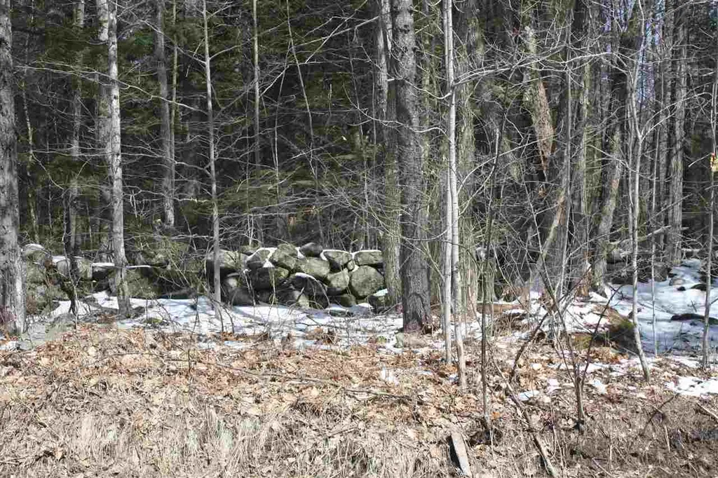 00 West Shore Road Bristol NH 03222